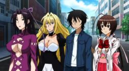 20 Best Ecchi Harem Anime with Badass Male MC