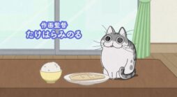 Nights With a Cat Anime Opens YouTube Channel With Trailer, Releases Visual