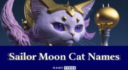 Sailor Moon Cat Names: 166+ Cool Sailor Moon Cat Names