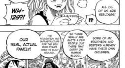 Bí Mật Trong One Piece Manga 828
