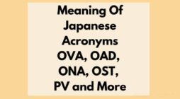 Pv Meaning Anime