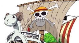 Thousand Sunny và Going Merry: Hai con tàu đặc biệt trong One Piece